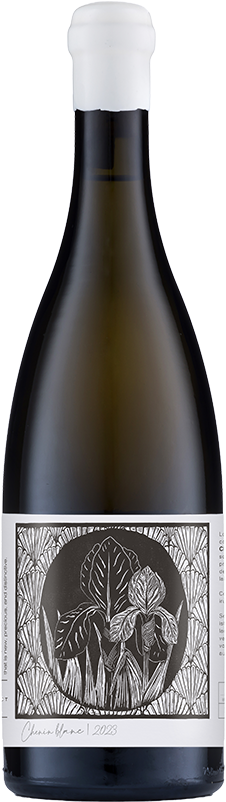 Kleine Zalze Project Z Chenin Blanc 2022 (Case of 6 × 750ml)