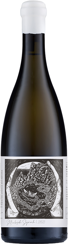 Kleine Zalze Project Z Shiraz 2021 (Case of 6 × 750ml)